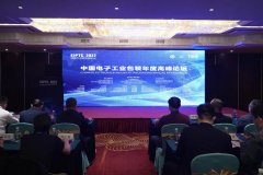 中国电子包装年度高峰论坛召开
